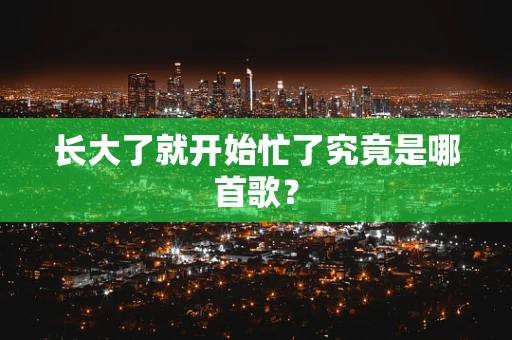 长大了就开始忙了究竟是哪首歌？