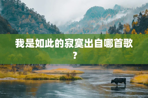 我是如此的寂寞出自哪首歌？