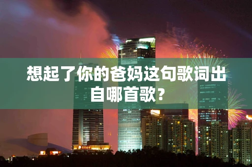 想起了你的爸妈这句歌词出自哪首歌？
