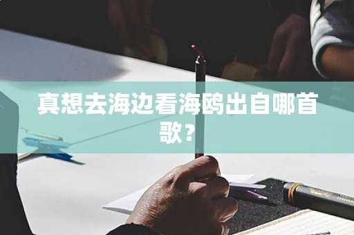 真想去海边看海鸥出自哪首歌？