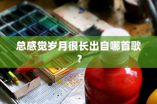 总感觉岁月很长出自哪首歌？
