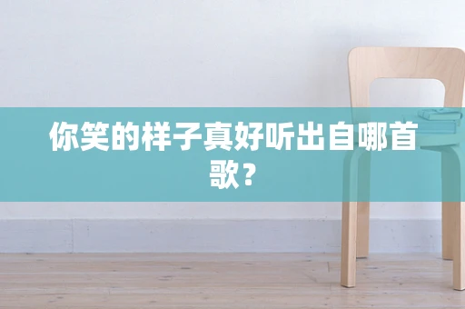 你笑的样子真好听出自哪首歌？