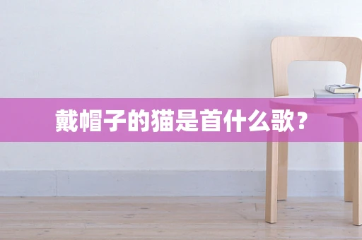 戴帽子的猫是首什么歌？
