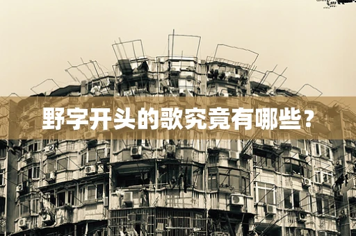 野字开头的歌究竟有哪些？