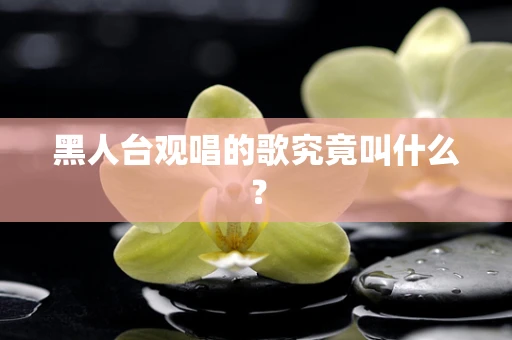黑人台观唱的歌究竟叫什么？