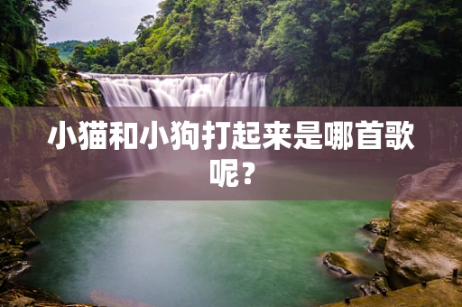 小猫和小狗打起来是哪首歌呢？