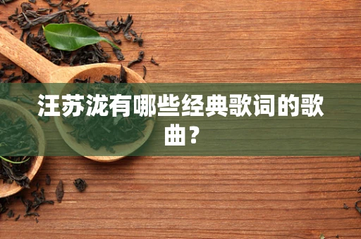 汪苏泷有哪些经典歌词的歌曲？