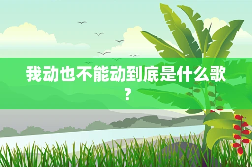 我动也不能动到底是什么歌？