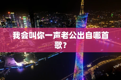 我会叫你一声老公出自哪首歌？