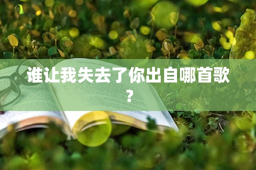 谁让我失去了你出自哪首歌？