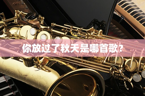 你放过了秋天是哪首歌？