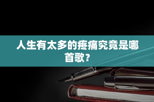 人生有太多的疼痛究竟是哪首歌？