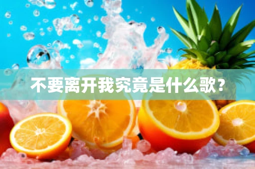 不要离开我究竟是什么歌？