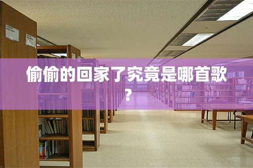 偷偷的回家了究竟是哪首歌？