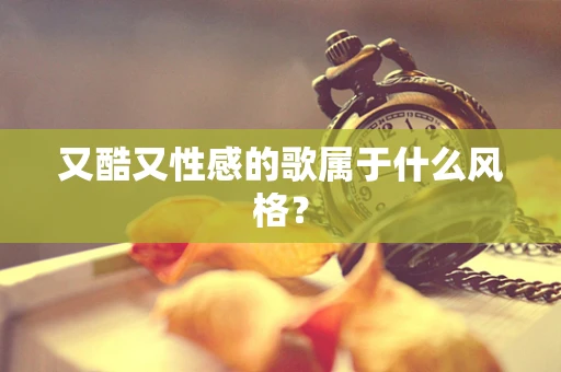 又酷又性感的歌属于什么风格？