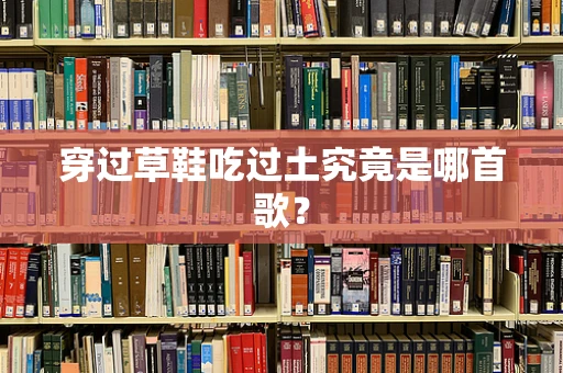 穿过草鞋吃过土究竟是哪首歌？