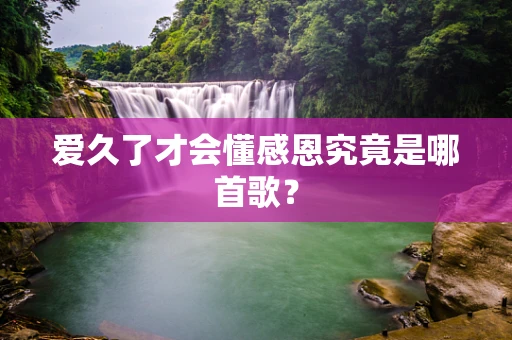 爱久了才会懂感恩究竟是哪首歌？