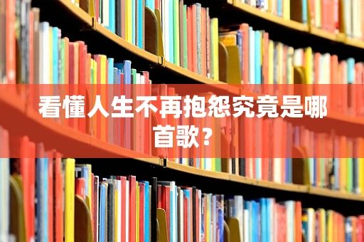 看懂人生不再抱怨究竟是哪首歌？