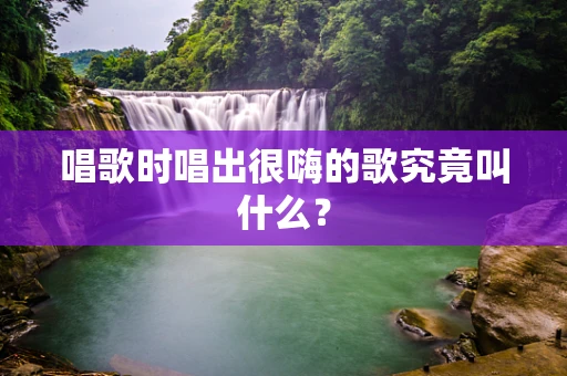 唱歌时唱出很嗨的歌究竟叫什么？