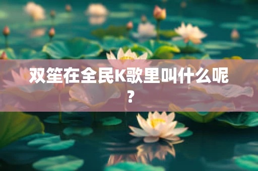 双笙在全民K歌里叫什么呢？