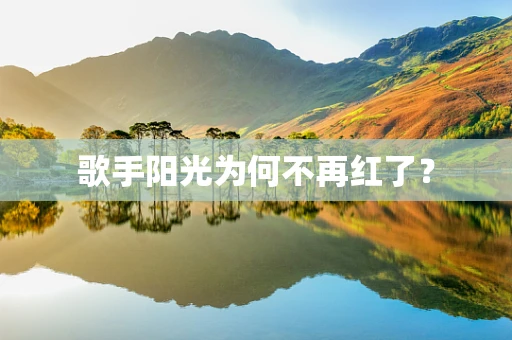 歌手阳光为何不再红了？