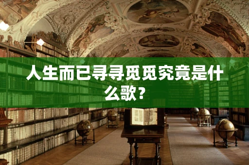 人生而已寻寻觅觅究竟是什么歌？