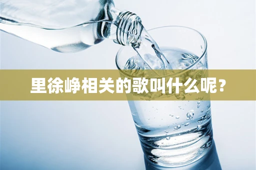 里徐峥相关的歌叫什么呢？