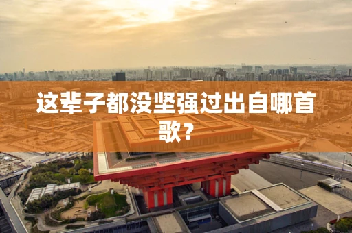 这辈子都没坚强过出自哪首歌？