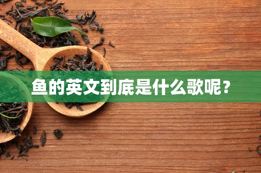 鱼的英文到底是什么歌呢？