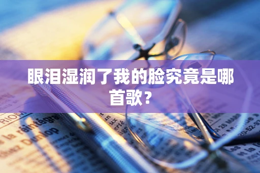 眼泪湿润了我的脸究竟是哪首歌？