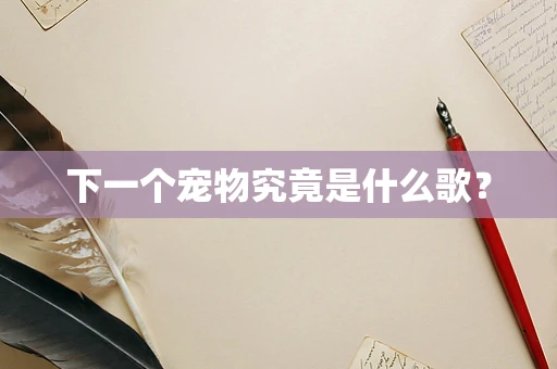 下一个宠物究竟是什么歌？