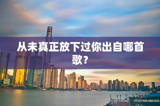 从未真正放下过你出自哪首歌？