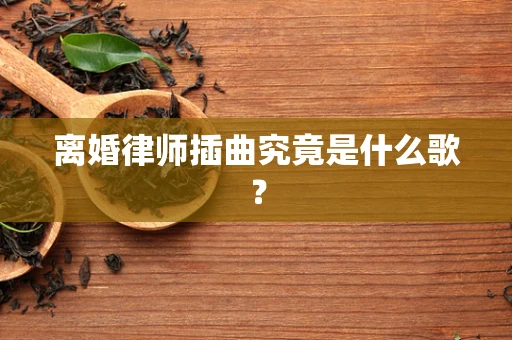 离婚律师插曲究竟是什么歌？