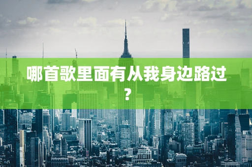 哪首歌里面有从我身边路过？