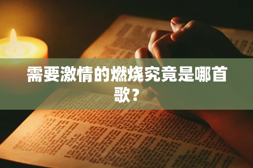 需要激情的燃烧究竟是哪首歌？