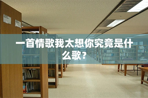 一首情歌我太想你究竟是什么歌？