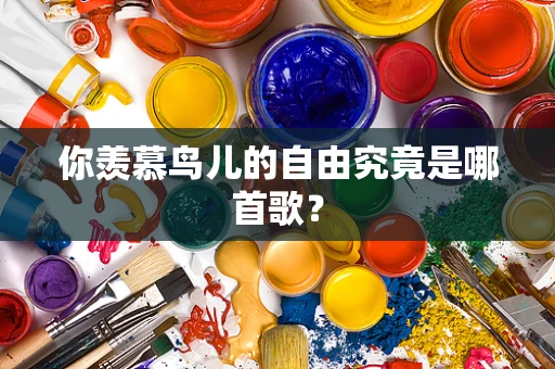 你羡慕鸟儿的自由究竟是哪首歌？