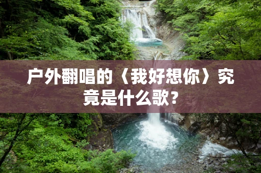 户外翻唱的〈我好想你〉究竟是什么歌？