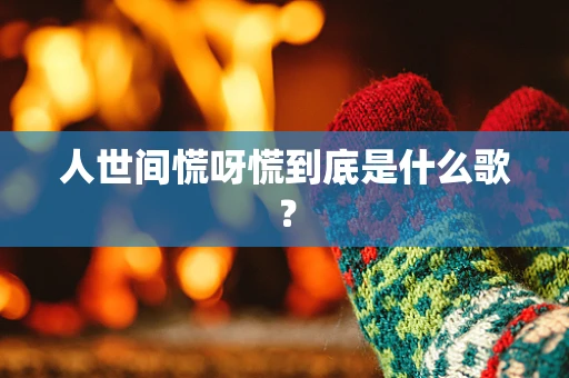 人世间慌呀慌到底是什么歌？