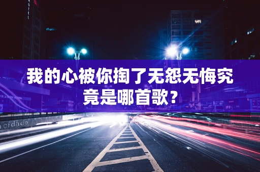 我的心被你掏了无怨无悔究竟是哪首歌？