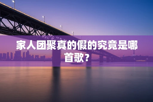 家人团聚真的假的究竟是哪首歌？