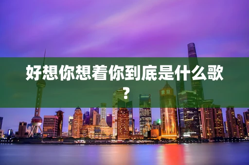 好想你想着你到底是什么歌？
