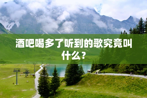 酒吧喝多了听到的歌究竟叫什么？