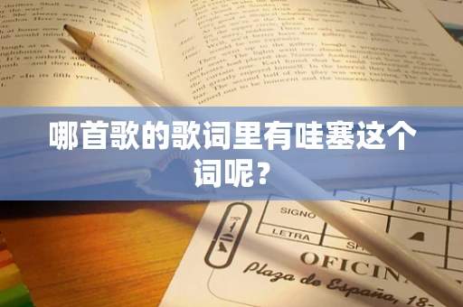 哪首歌的歌词里有哇塞这个词呢？