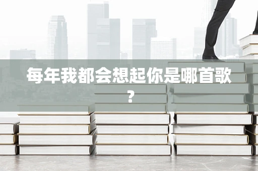 每年我都会想起你是哪首歌？