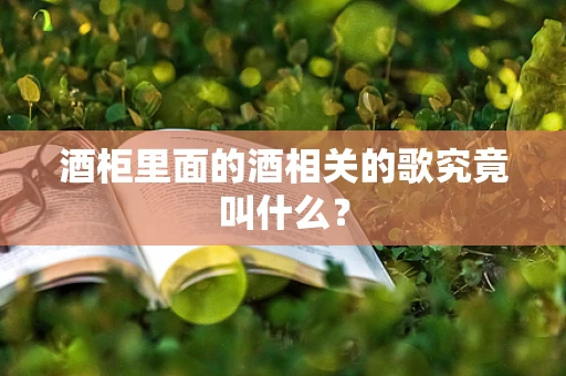酒柜里面的酒相关的歌究竟叫什么？