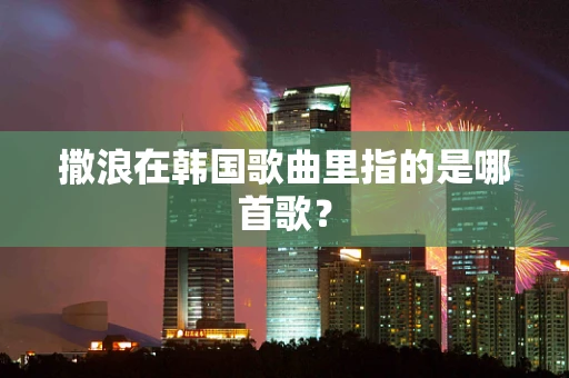 撒浪在韩国歌曲里指的是哪首歌？