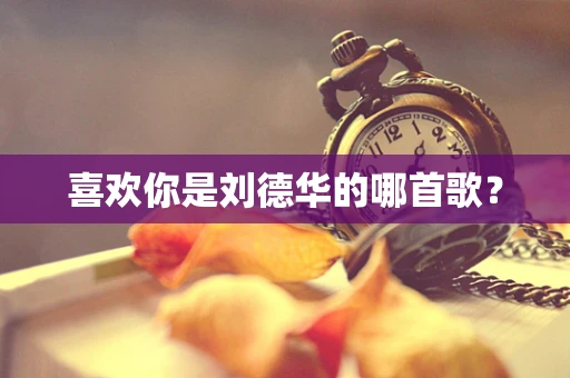 喜欢你是刘德华的哪首歌？