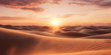 夕阳落日落风沙出自哪首歌？