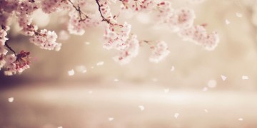 永远的什么究竟是哪首歌？